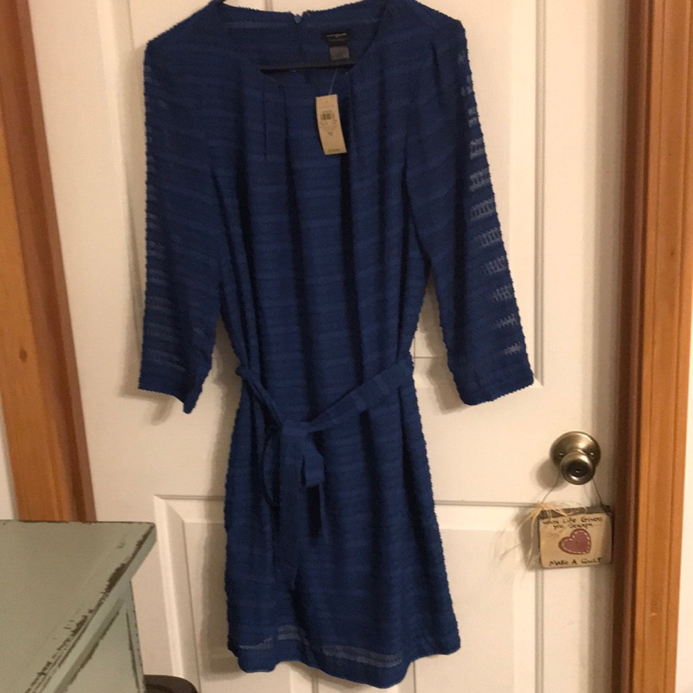 Ann Taylor Royal Blue Textured Belted Shift Dress